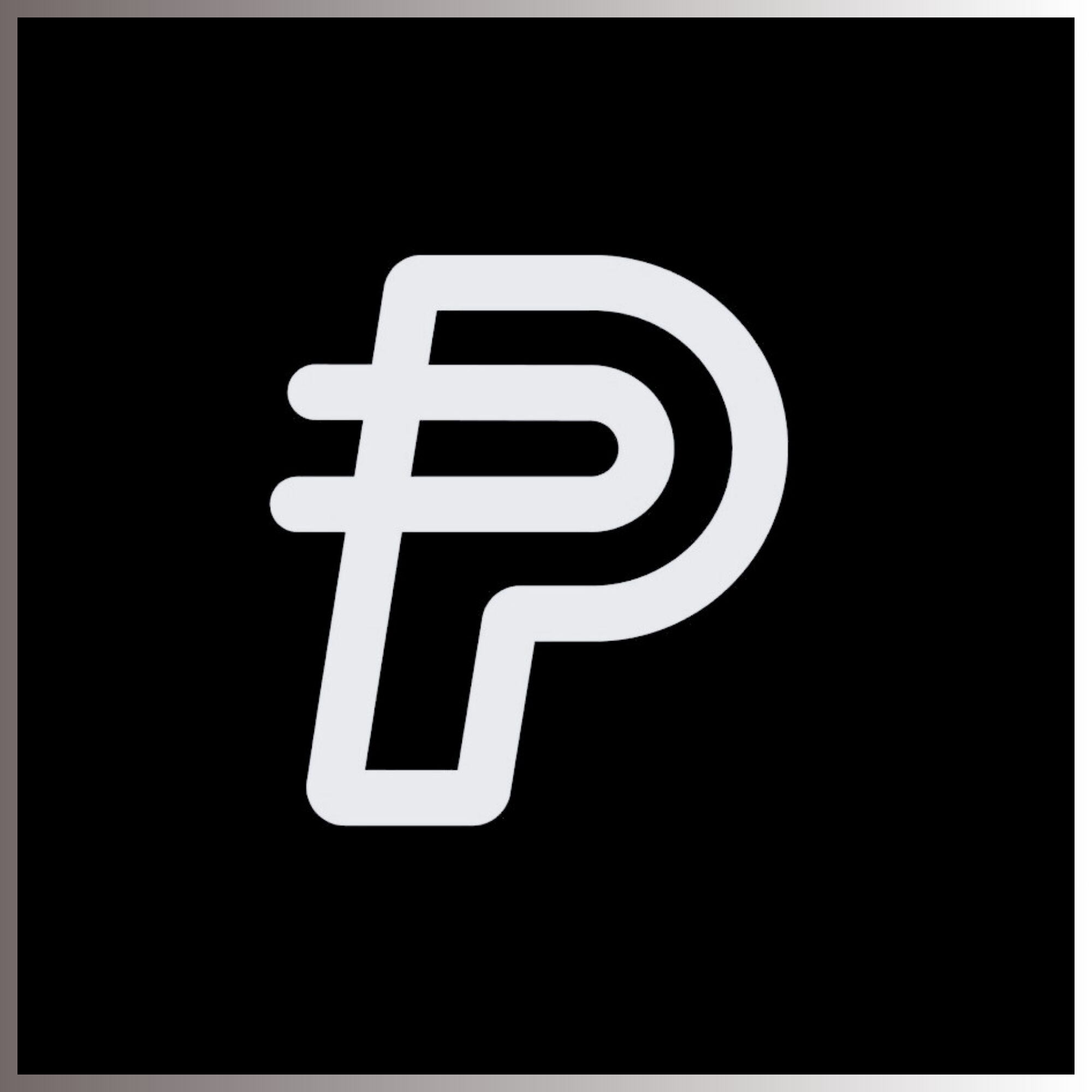 PAYPAL USD logo